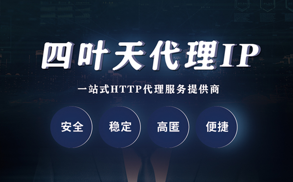 【博尔塔拉代理IP】代理ip客户端使用教程