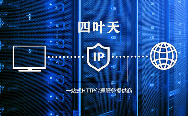 【博尔塔拉代理IP】高质量IP代理的最重要因素?